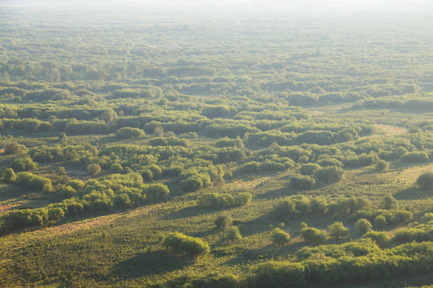 feuchtgebiete landschaft - inner mongolia stock-fotos und bilder