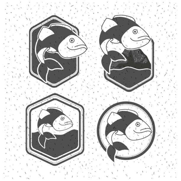 white background with sparkle of silhouette set shield emblem with types of fish vector illustration