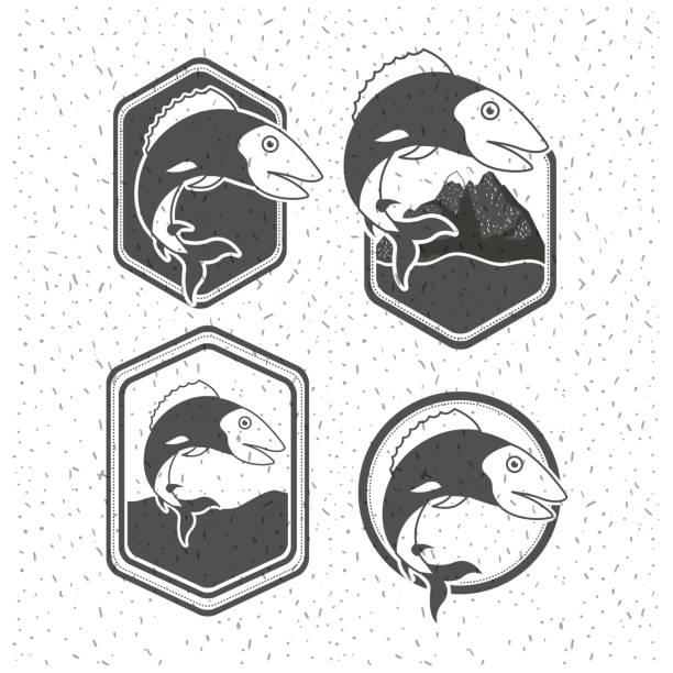 white background with sparkle of silhouette set shield with types of fish in emblem decorative vector illustration