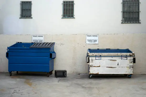 Photo of blue recycling and white trash bins in an alley