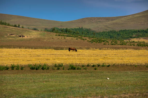 istock Beautiful autumn landscape 858891572