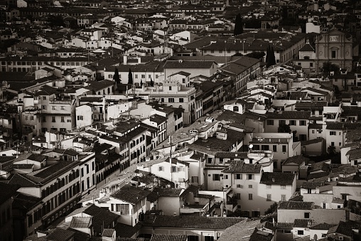 Roofs of old buildings black and white in Florence in Italy