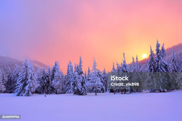 Sunrise Enlightens Sky Mountain And Trees Standing In Snowdrifts Covered By Frozen Snow With Yellow Shine Winter Landscape For Leaflets Stock Photo - Download Image Now