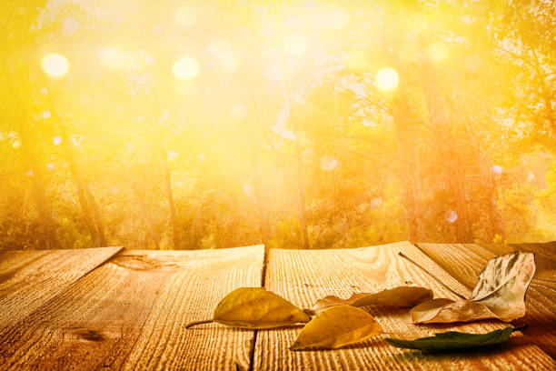 istock Empty table in front of blurry autumn background. Ready for product display montage 858904012