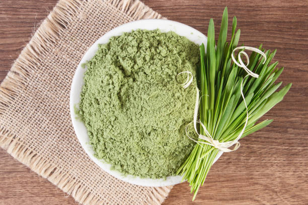 Barley grass and heap of young powder barley in bowl, body detox concept stock photo