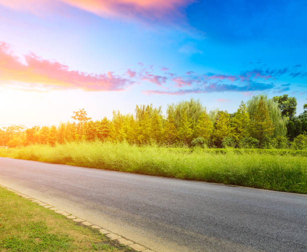 istock asphalt road and green tree landscape at sunset 858911044