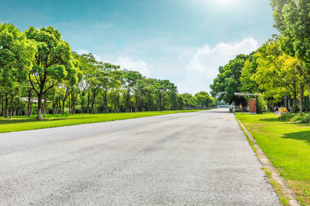 istock Asphalt road and green woods under the blue sky 858913136