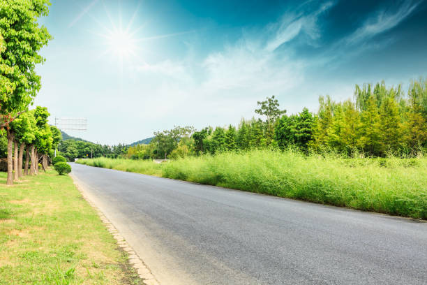 istock Asphalt road and green woods under the blue sky 858913212