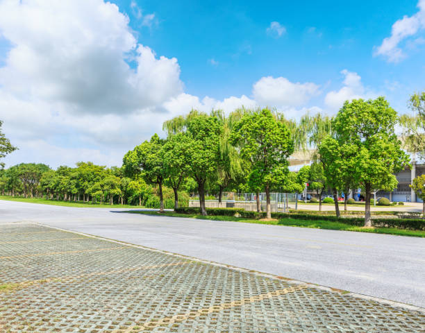 istock Asphalt road and green woods under the blue sky 858913304