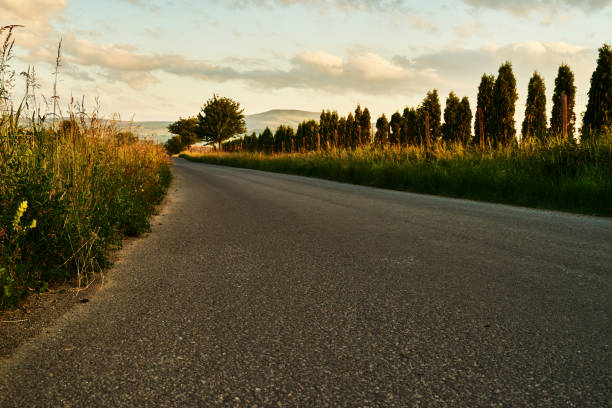 summer day with road and treet at the edge of it.sunset time.