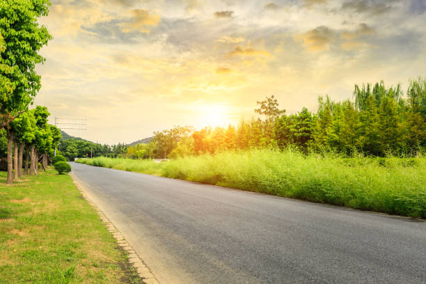 istock asphalt road and green tree landscape at sunset 858917172