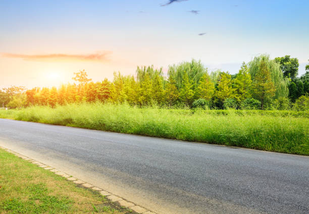 istock asphalt road and green tree landscape at sunset 858920558
