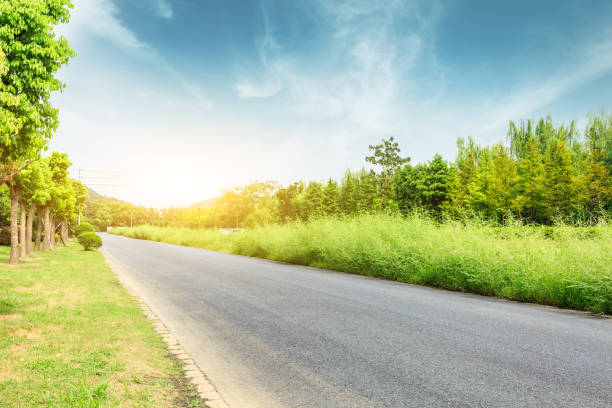 istock asphalt road and green tree landscape at sunset 858923760
