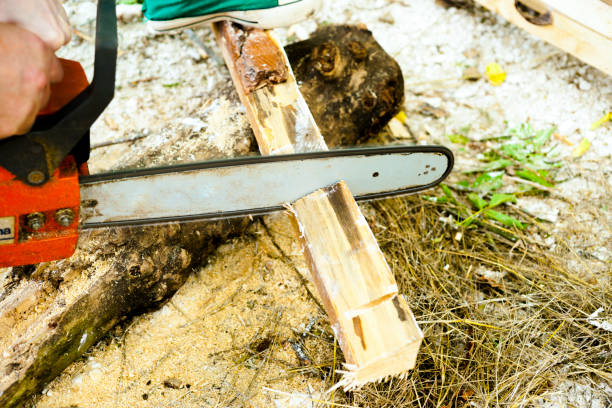 istock Sawing wood with a chainsaw. 858923884