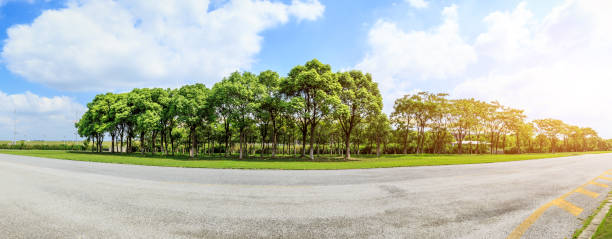 istock asphalt road and green woods under the blue sky 858924144