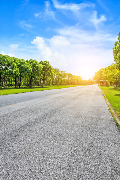 istock Asphalt road and green woods under the blue sky 858924334