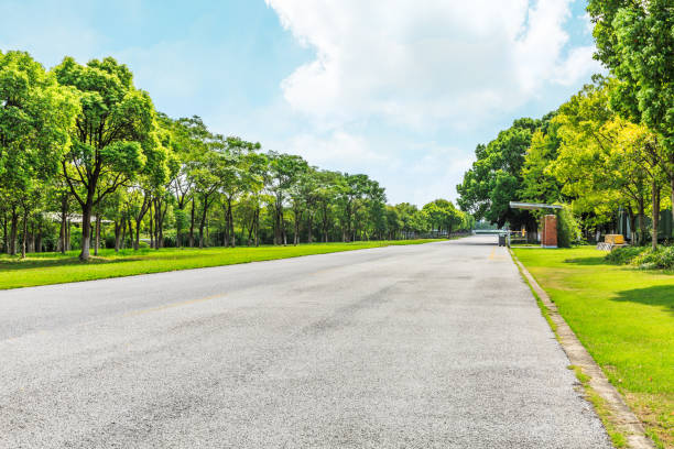 istock Asphalt road and green woods under the blue sky 858924480