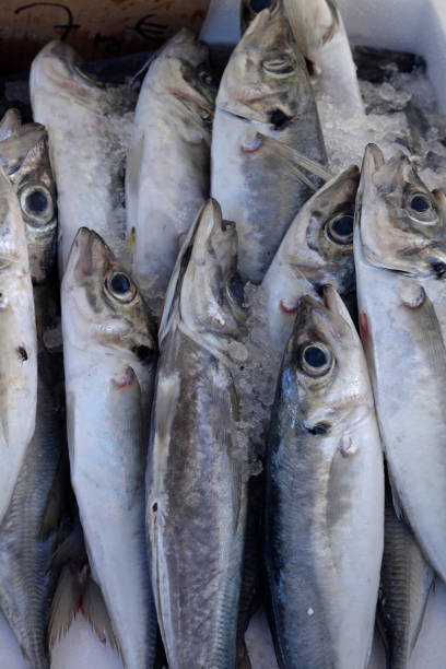 istock Fish at a market 858927258