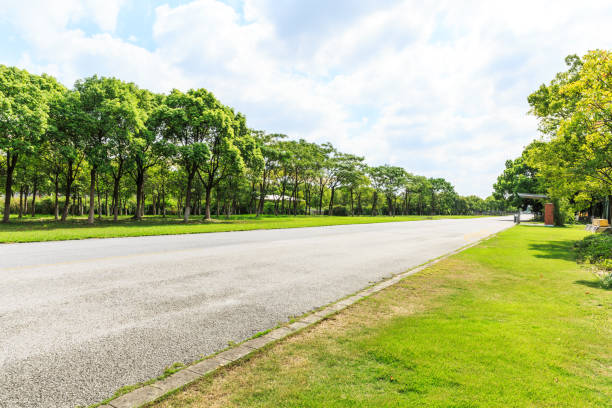 istock Asphalt road and green woods under the blue sky 858927320