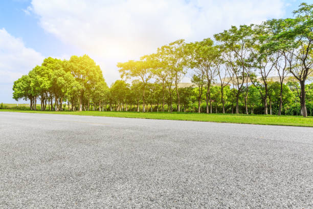 istock Asphalt road and green woods under the blue sky 858927784