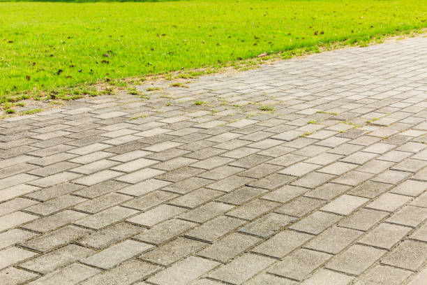 istock empty floor road and green plant grass 858927996