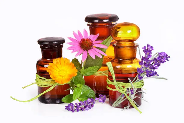 Old chemist`s bottles with lavender, calendula and echinacea for medicine and wellness.