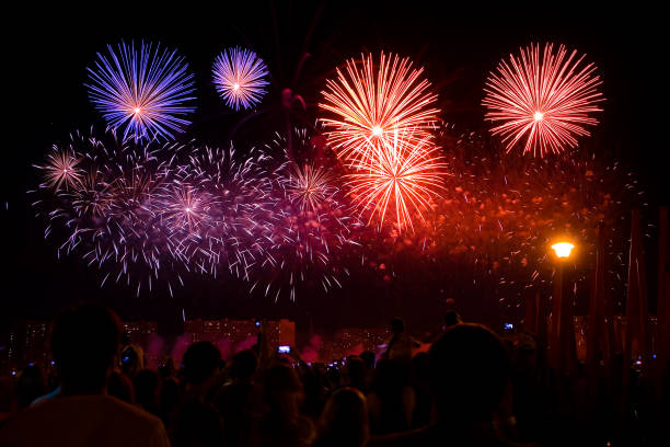 istock Beautiful colorful fireworks in the night sky. 858931306
