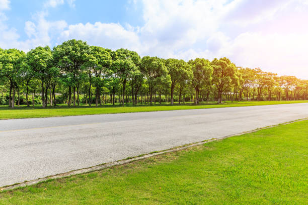 istock Asphalt road and green woods under the blue sky 858931314
