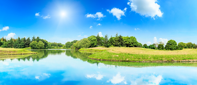 green forest and lake water under the blue sky,natural landscape