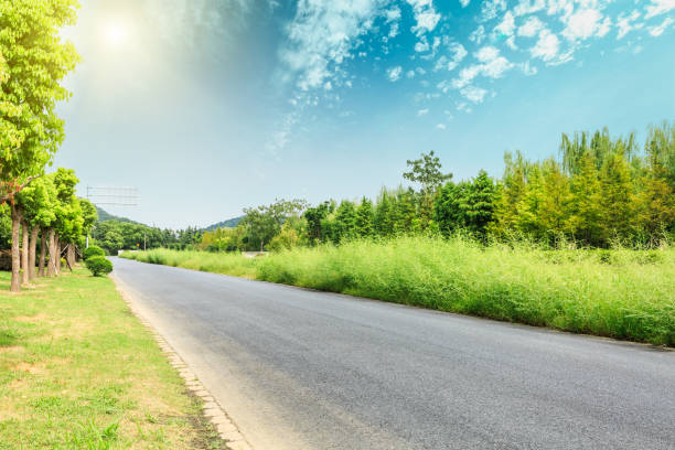 istock Asphalt road and green woods under the blue sky 858935716
