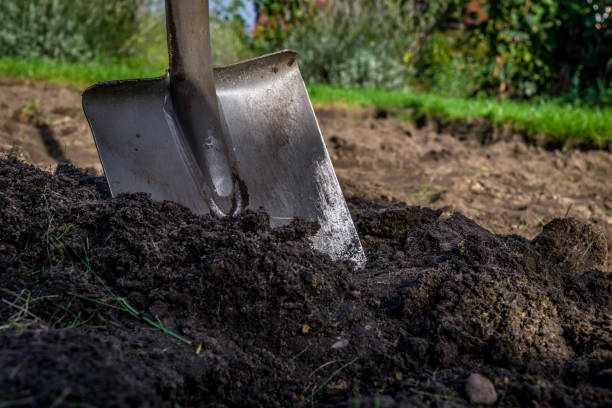 istock spade in the dirt 858939544
