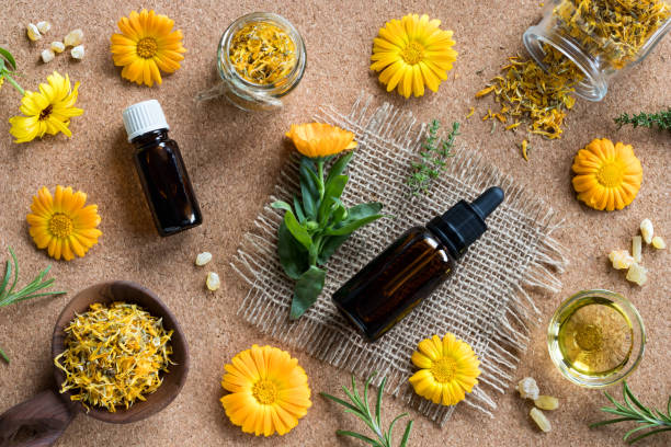 istock Selection of essential oils and herbs on a brown background 858940752
