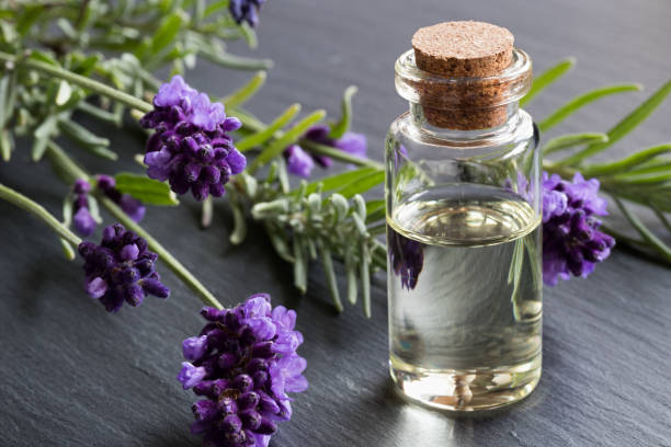 istock A bottle of lavender essential oil 858944704