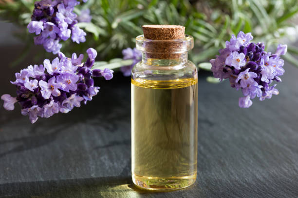 istock A bottle of lavender essential oil 858944862
