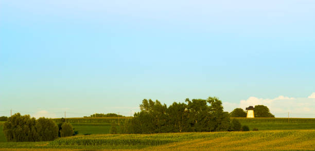 istock yellow meadow with crops and trees with a white windmill 858945274