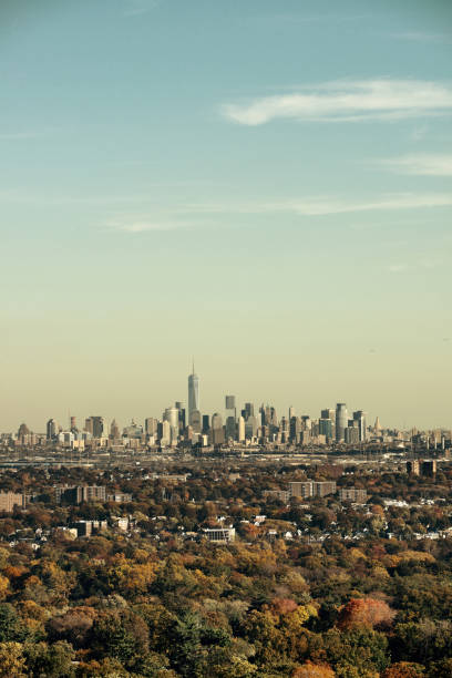 istock New York City skyline viewed from park 858948880