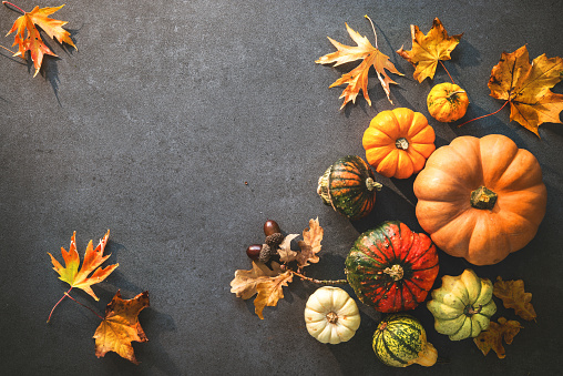 Thanksgiving day or seasonal autumnal background with pumpkins and fallen leaves on stone background. Copy space for text