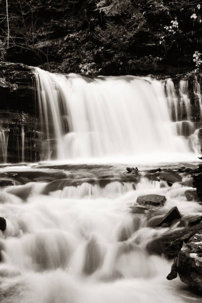 istock Waterfalls in black and white 858959962