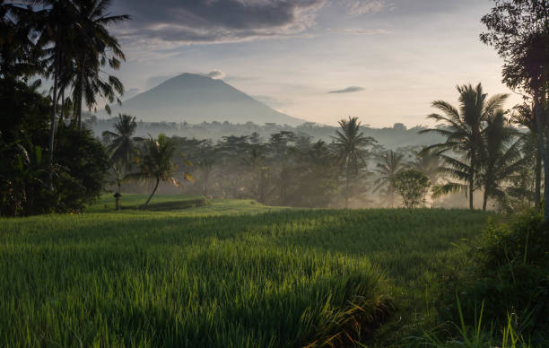 istock Sunrise with view on Mt. Agung 858960452