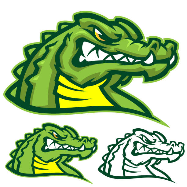 Gators sports kit vector art illustration