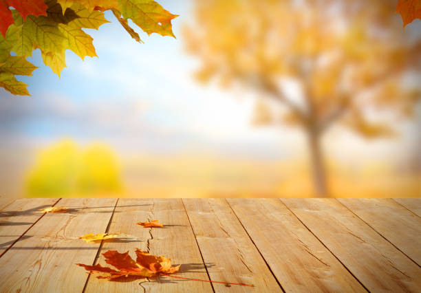 istock Autumn maple leaves on wooden  table 858967562