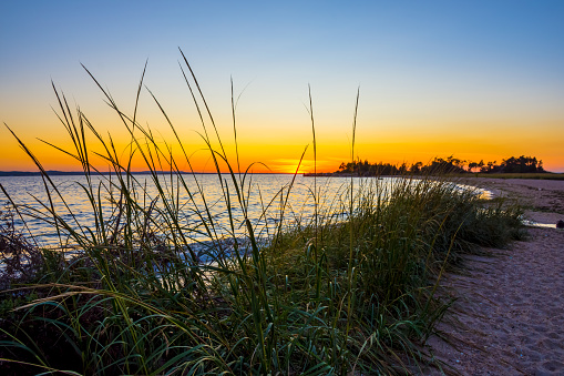 A vibrant sunset through the grass on Sandy Hook Bay along the New Jersey coastline.
