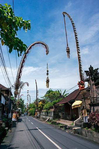 Traditional balinese penjors along the street in Penestanan village near Ubud, Bali, Indonesia. Tall bamboo poles with decoration are set in honour of hindu gods on religious festivals like Galungal, Kuningan.