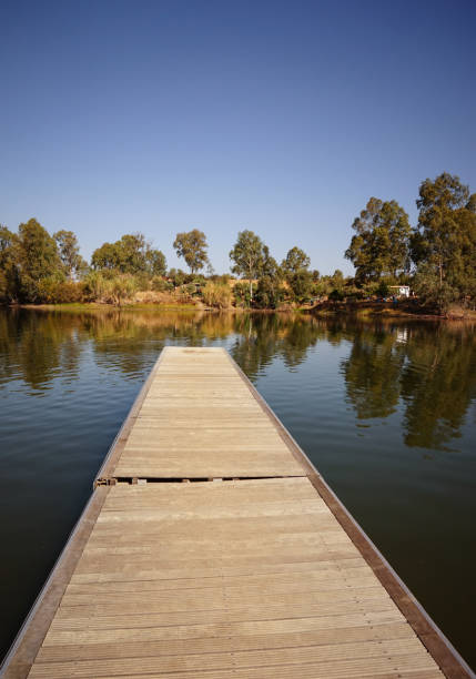 istock wooden pier on big lake surrounded by trees 858971258