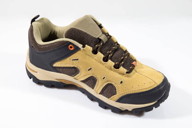 istock Male Brown Sneaker on White Background 858974922