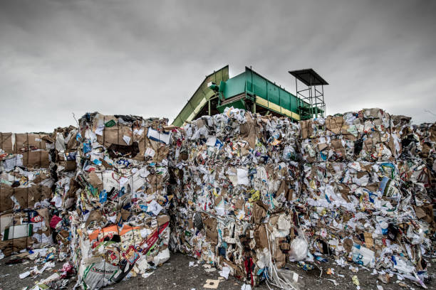istock Separation of Cardboard at Garbage Recycling Center 858978752
