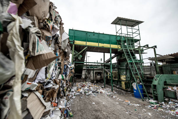 Separation of Cardboard at Garbage Recycling Center