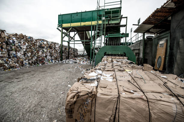 istock Separation of Cardboard at Garbage Recycling Center 858978766