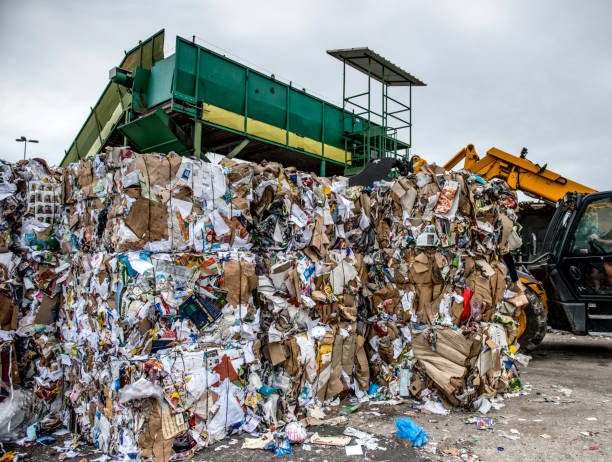 istock Separation of Cardboard at Garbage Recycling Center 858978786