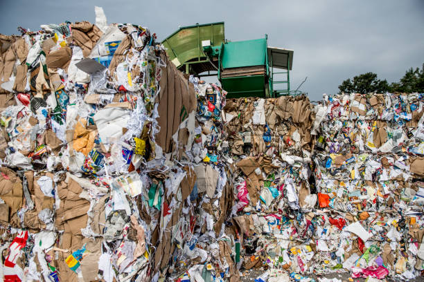 istock Separation of Cardboard at Garbage Recycling Center 858978856